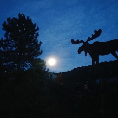 Alpine Moose Lodge Lake City Eksteriør billede