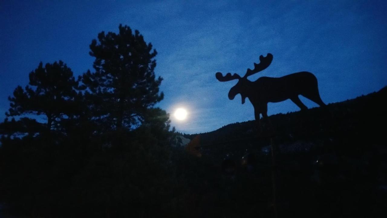 Alpine Moose Lodge Lake City Eksteriør billede